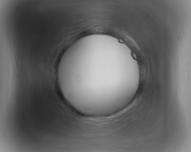 X0000102260029200807250847