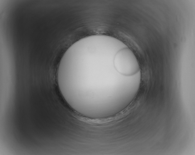 X0000102260030200807250847