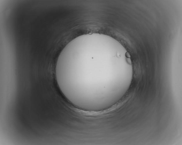 X0000102260034200807250847