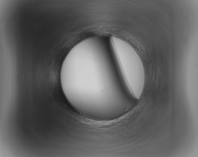 X0000102260035200807250846