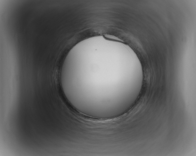X0000102260036200807250846