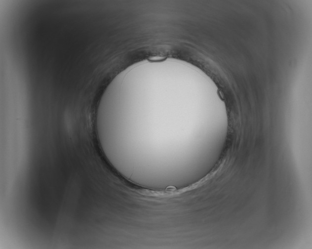 X0000102260037200807250846