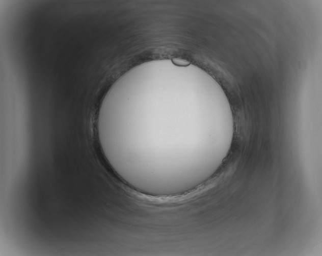 X0000102260038200807250846