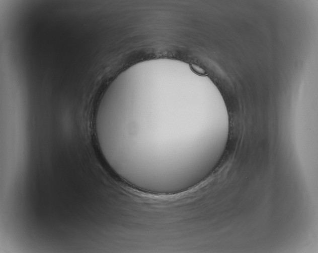 X0000102260039200807250846