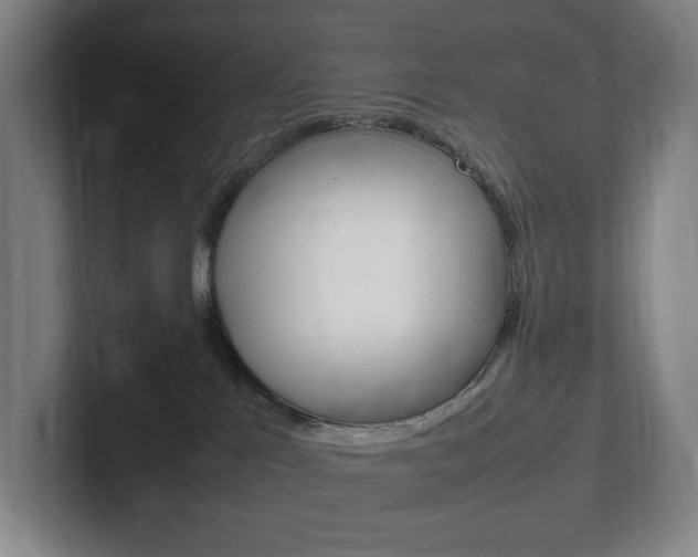 X0000102260041200807250846