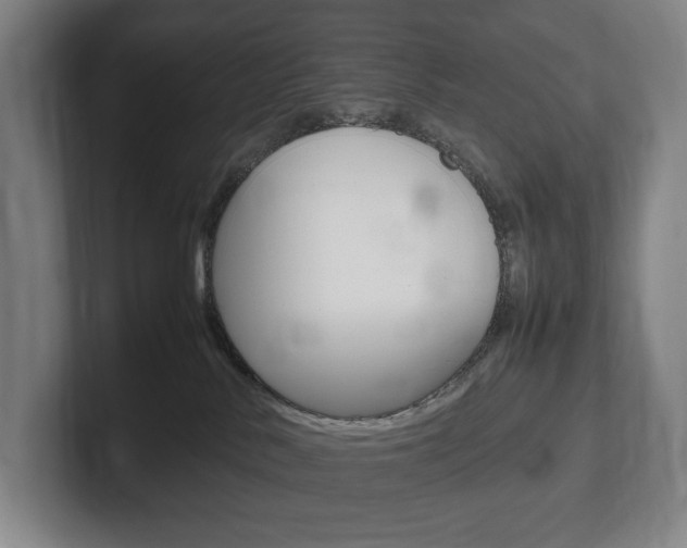 X0000102260042200807250846
