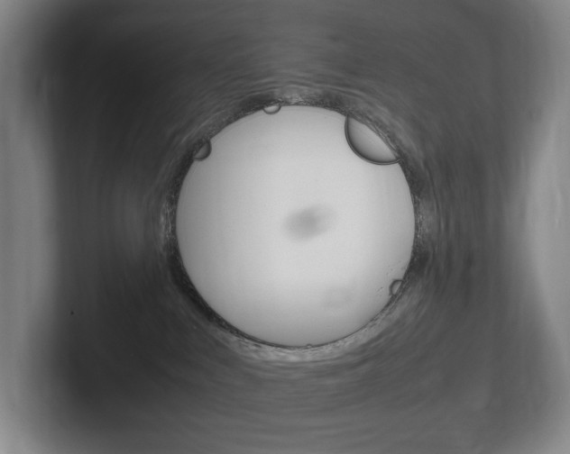 X0000102260043200807250846