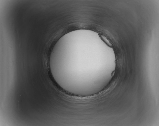 X0000102260044200807250846