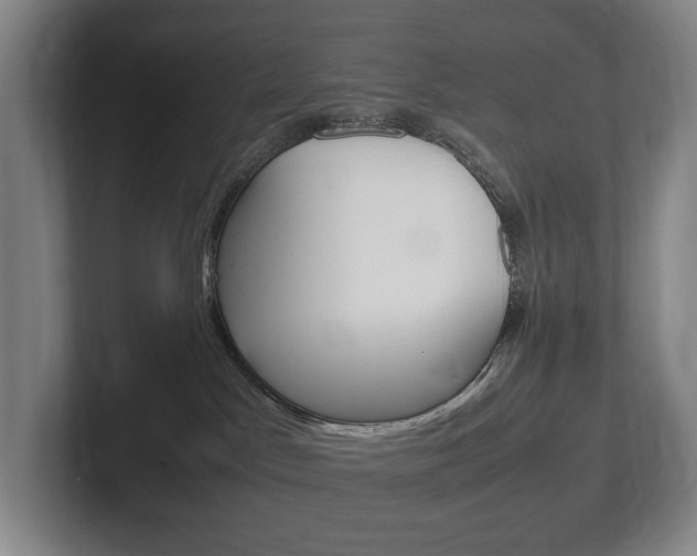 X0000102260045200807250846
