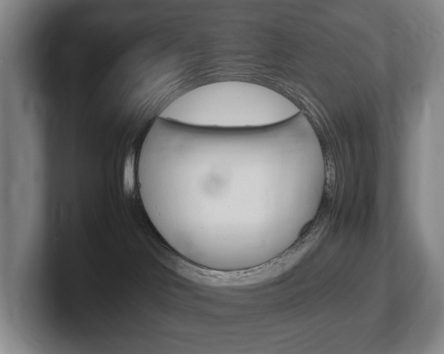 X0000102260046200807250846