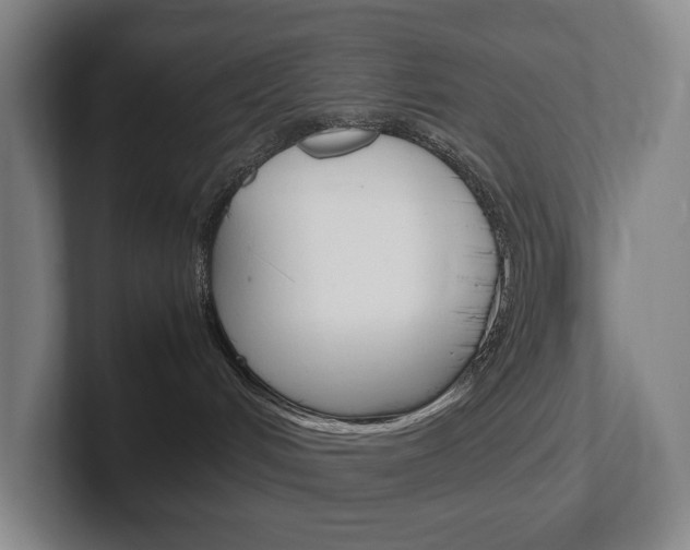 X0000102260048200807250846