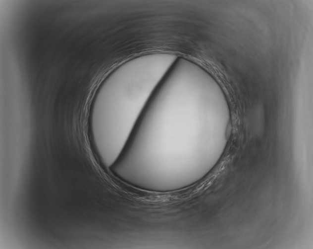 X0000102260049200807250846