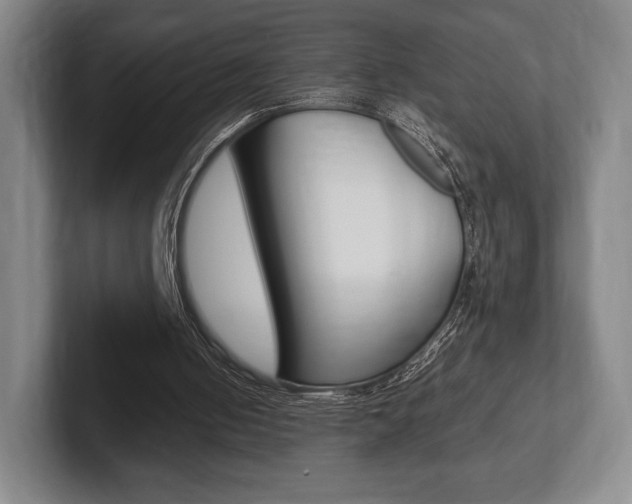 X0000102260050200807250846
