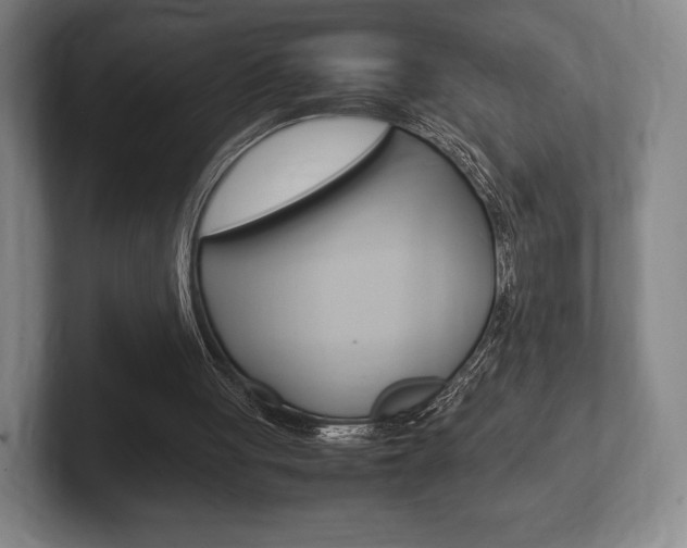 X0000102260051200807250846