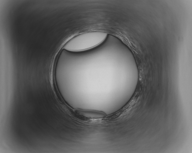 X0000102260052200807250846