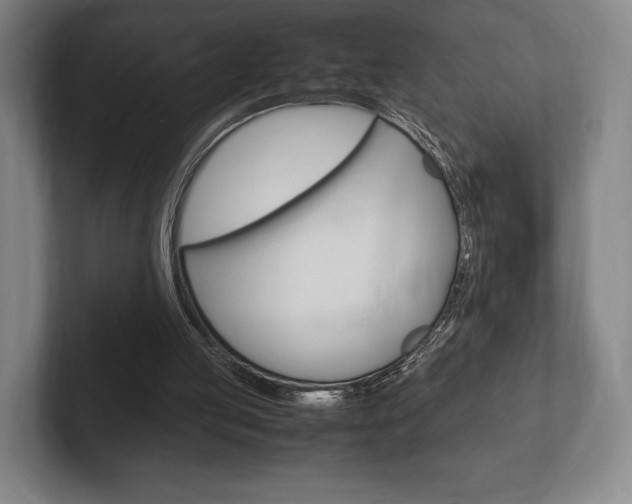 X0000102260053200807250846