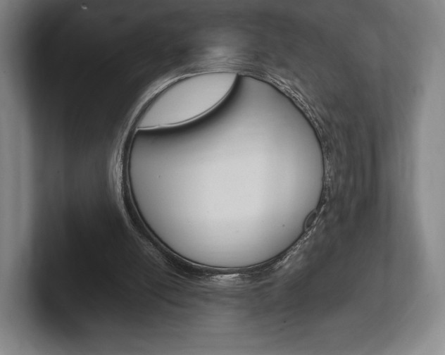 X0000102260054200807250846