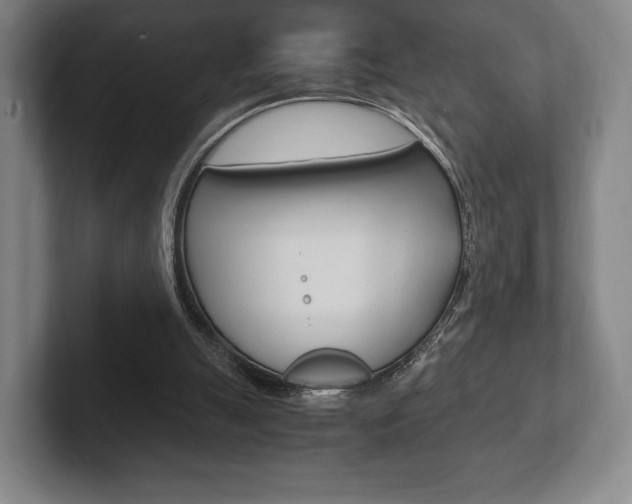 X0000102260055200807250846