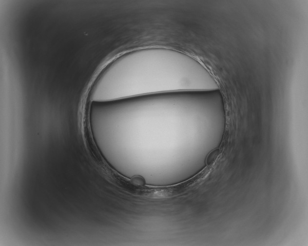 X0000102260056200807250846