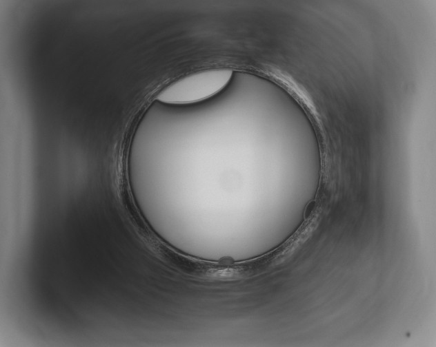 X0000102260057200807250846