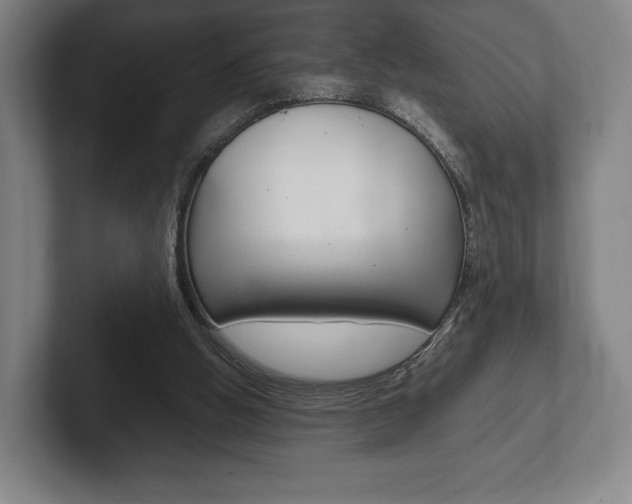 X0000102260058200807250846
