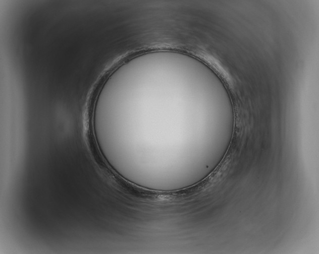 X0000102260060200807250846