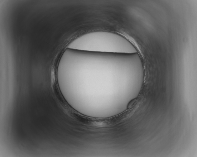 X0000102260061200807250846