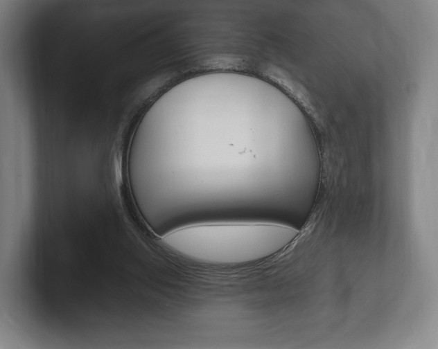X0000102260062200807250846