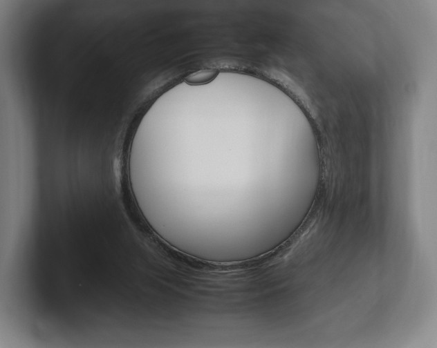 X0000102260063200807250846