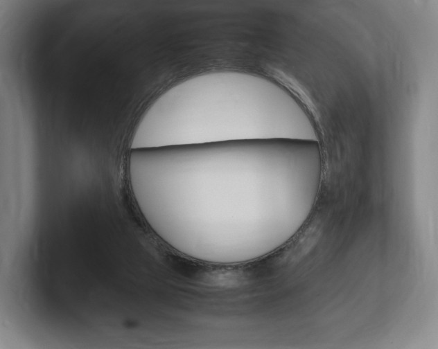 X0000102260065200807250846