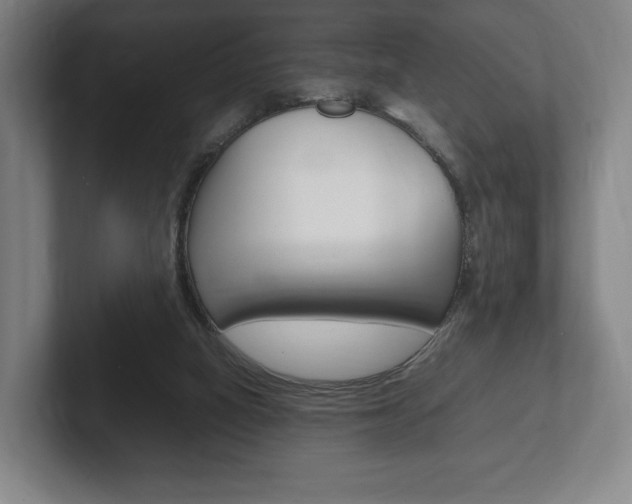 X0000102260066200807250846