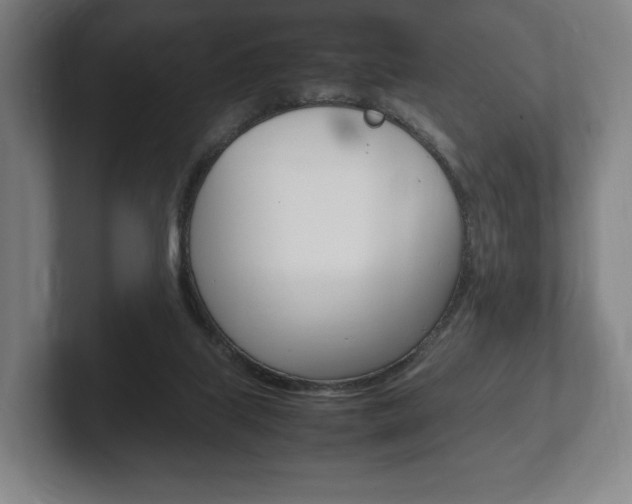 X0000102260067200807250846