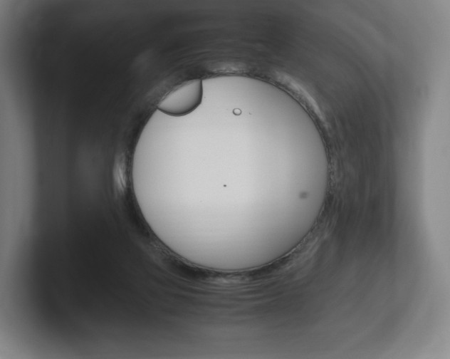 X0000102260069200807250846
