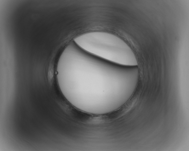 X0000102260072200807250846