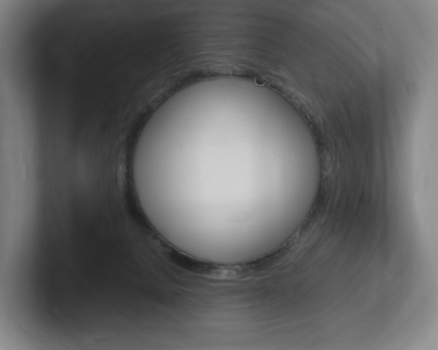 X0000102260080200807250846
