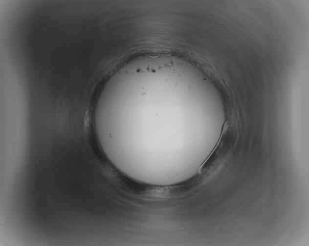 X0000102260084200807250846