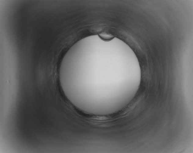 X0000102260085200807250846