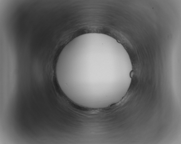 X0000102260086200807250846