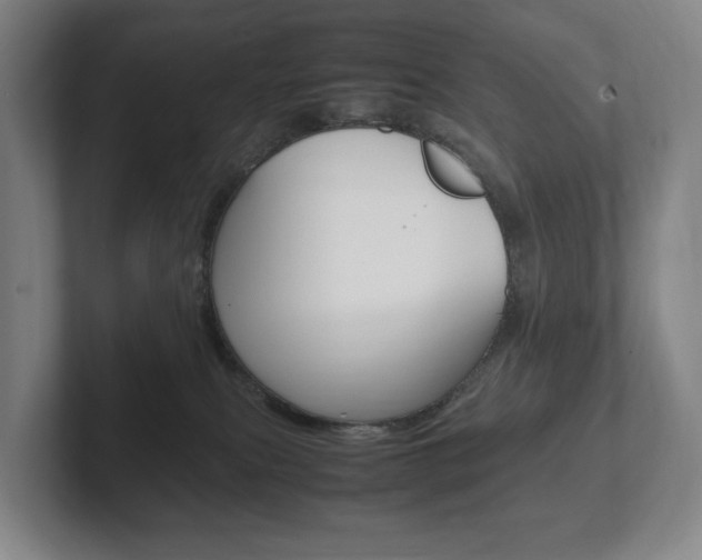 X0000102260087200807250846