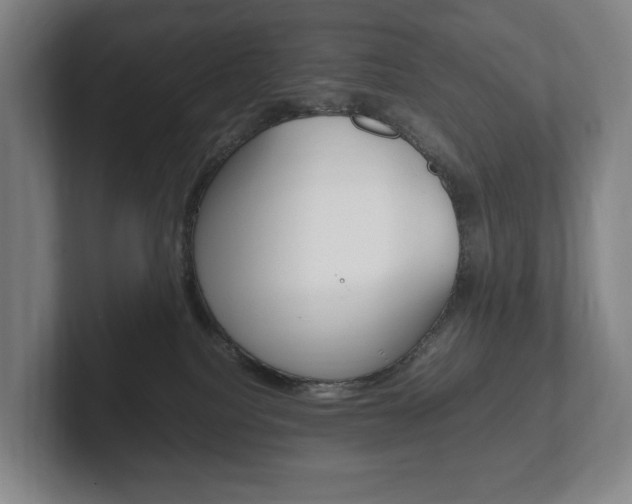 X0000102260088200807250846