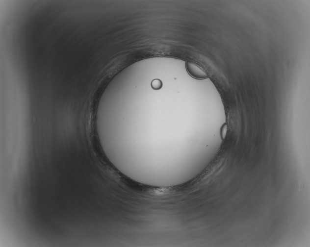 X0000102260092200807250846