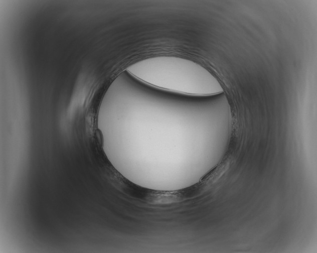 X0000102260093200807250846