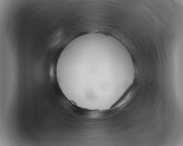 X0000102260094200807250846