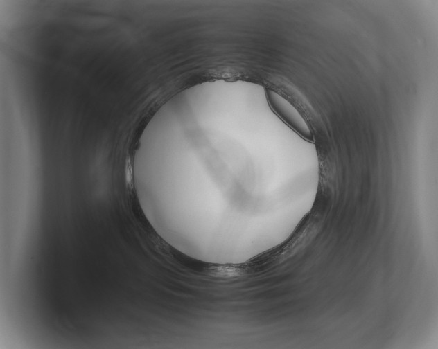 X0000102260095200807250846