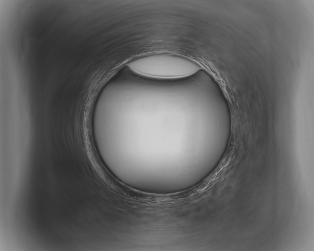 X0000102260097200807250846