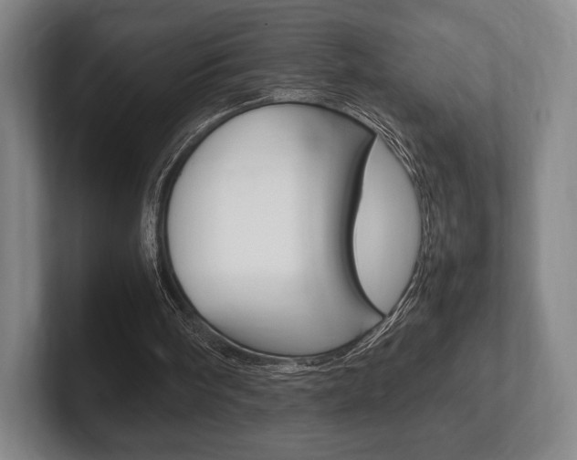 X0000102260098200807250846