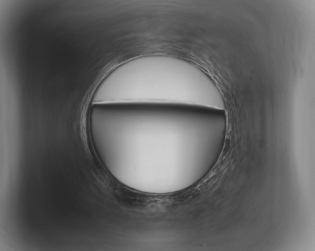 X0000102260099200807250846