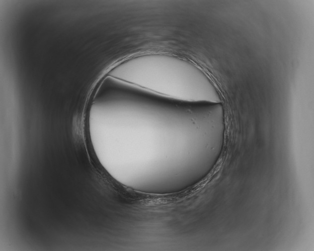 X0000102260100200807250846