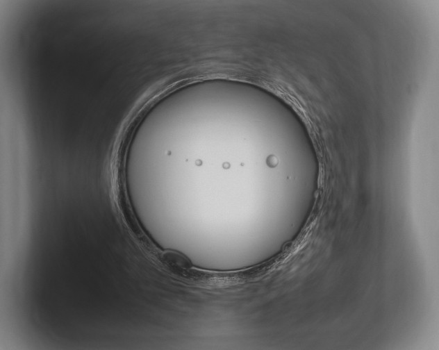 X0000102260101200807250846