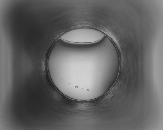 X0000102260105200807250846